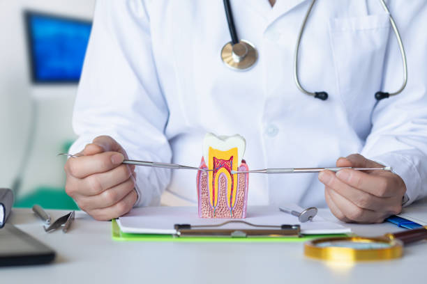 Best Emergency Gum Pain Relief  in Grill, PA